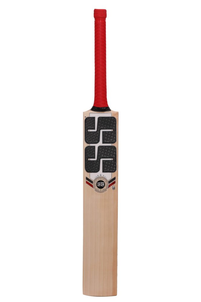 SS Professional English Willow Cricket Bat - NZ Cricket Store